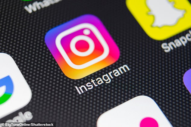 Instagram finally offers users protection against unsolicited d*** photos and 'flap snaps' in direct messages (file photo)