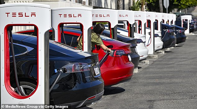 Tesla shocked analysts last month when it announced that sales had fallen for the first time since the height of the pandemic in 2020