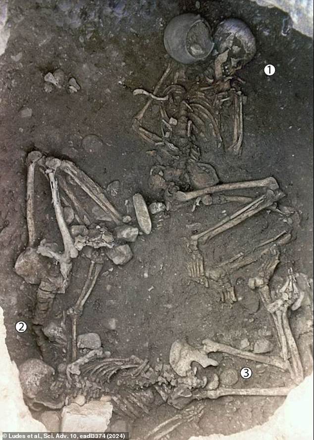 The central body (1) was buried normally, but the other two women (2 and 3) were forced into the overhang of the pit and arranged in unusual contorted positions.  It is likely that their legs were tied behind their backs and tied at their necks, strangling themselves