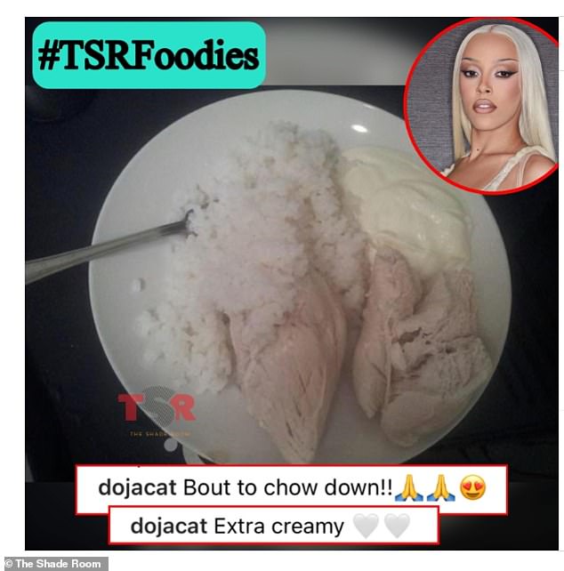 'It just made me throw up': Doja Cat's fans were stunned when she posted a photo of her bland-looking chicken and rice dinner to Instagram - but was everything as it seemed?