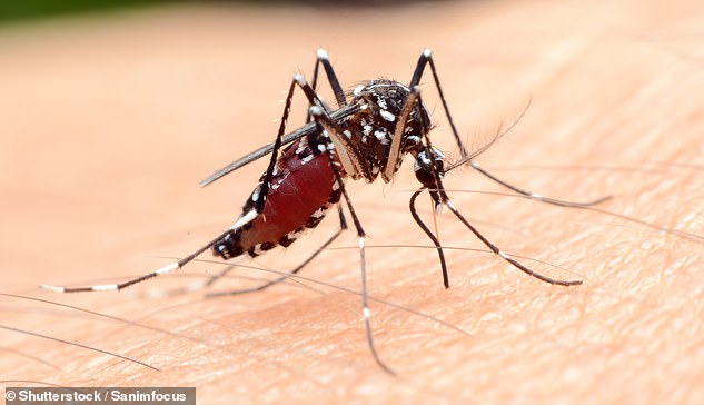 Malaria is a disease caused by a parasite that is transmitted to humans through the bite of an infected mosquito.  Early warning signs may include fever, chills, headache, muscle aches, fatigue and nausea.  With treatment, most cases are not fatal.  But in the severe stage, the disease quickly leads to death