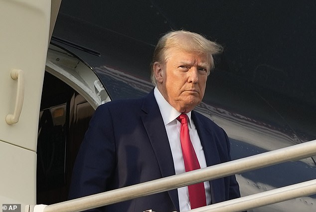 Former President Donald Trump regularly flies around the country on his 'Trump Force One', a nickname reminiscent of the presidential plane Air Force One