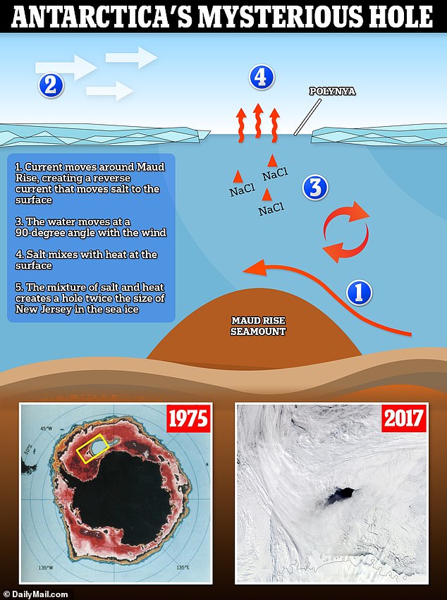 The polynya was caused by a combination of ocean water currents, winds and increasing salinity in the water that melted the sea ice.