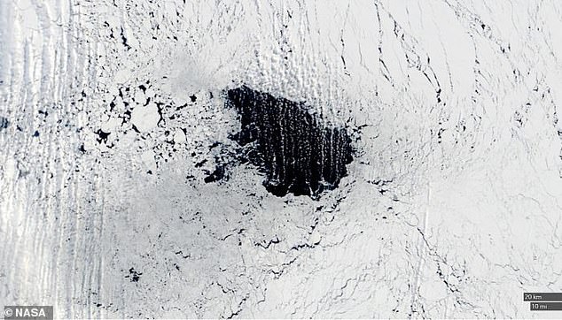 Experts say 2017 (pictured) was the first time since the 1970s that we have had such a large and long-lived polynya in the Weddell Sea.