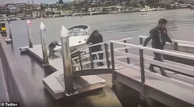 About two dozen migrants sprinted off a boat Thursday morning after it docked at a marina at the tip of the Balboa Peninsula in Newport Beach, California.