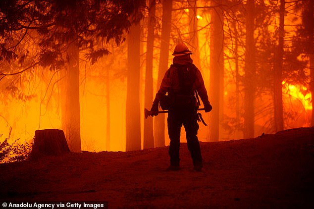 California parents sparked a fire in 2020 after using 'smoke bombs' during a photo shoot, sparking a 75-mile blaze