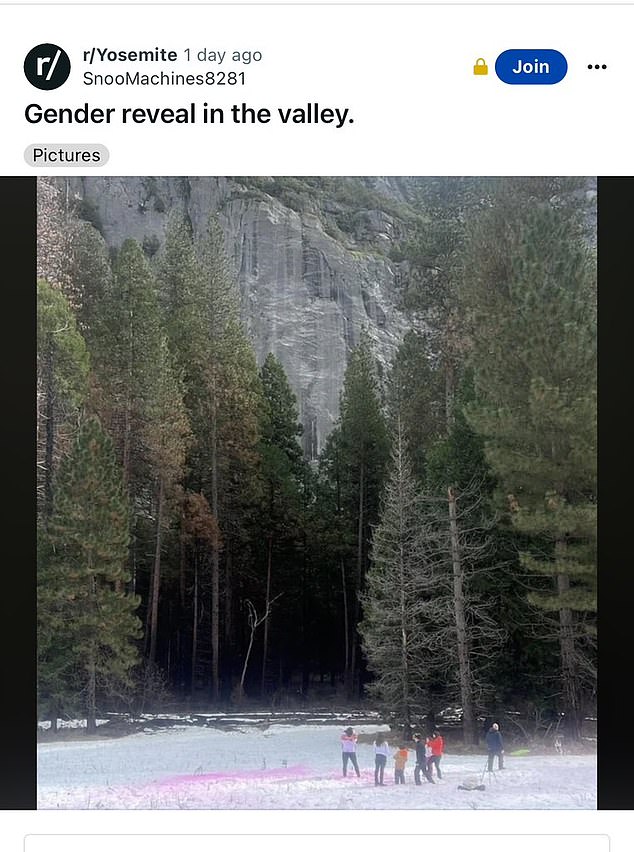 A wildlife expert shared her horror after seeing a bunch leaving pink confetti in Yosemite National Park last January