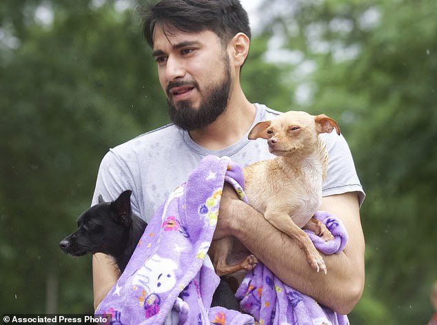 A man carries his dogs rescued from his home by boat by Caney Creek Fire and Rescue on River Plantation Drive