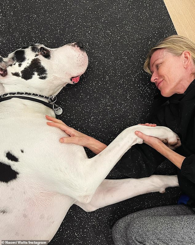 The British-born Australian plays a Manhattan writer who inherits a 150-pound Great Dane named Apollo (played by Bing, pictured on January 13) after her best friend and mentor commits suicide in the drama about loss