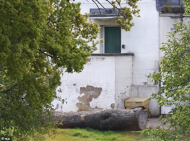 Other parts of the Windsor building appear to have deep stains on the white paint, despite the Duke's promise as part of the lease to renovate the property