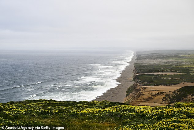 His body was found dead in the waters off Drakes Beach on Point Reyes near San Francisco a day after his arrest on suspicion of sexual abuse of a child.