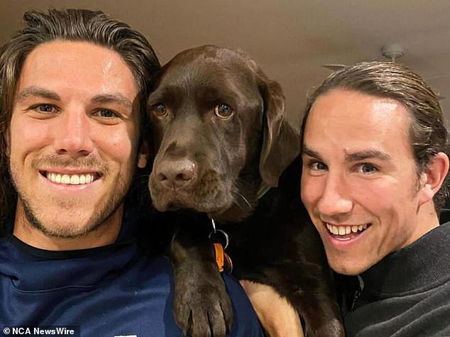 The Robinson brothers went to Coachella before heading to Mexico to surf.  Callum was based in the US, where he was a lacrosse player known as 'the Big Koala', and Jake, who worked in regional hospitals across Australia, had flown out to visit him two weeks ago.