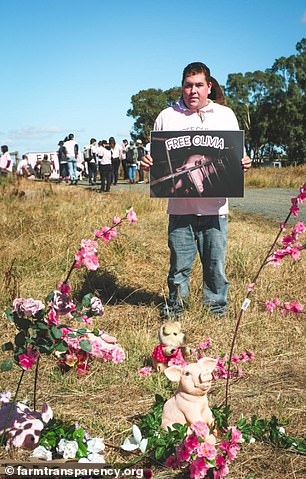 Activists protested outside the pigsty for therapy after the incident with placards and pig toys