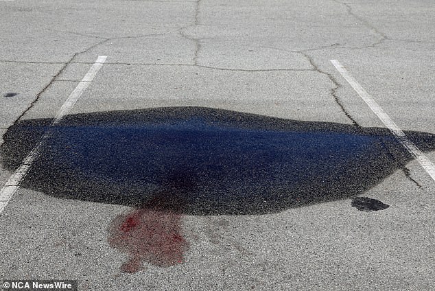 The teen stabbed a stranger in the back before attacking three officers (photo, a bloodstain left at the crime scene)