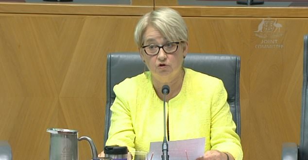 Greens Senator Barbara Pocock (above) is good at making inaccurate comments under privilege