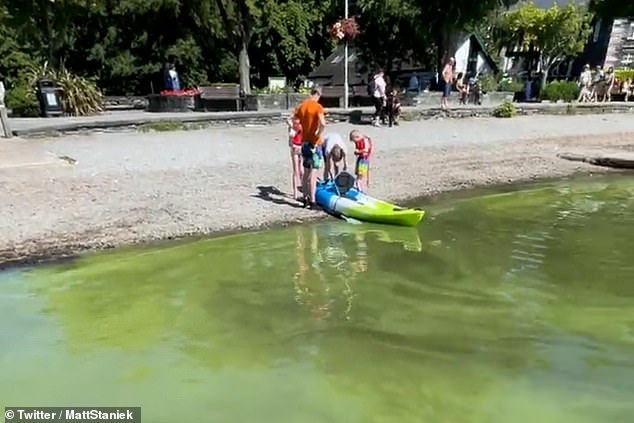 The sewage from the 300,000 tourists who arrive on some peak days adds nutrients to the water, causing algae to grow out of control