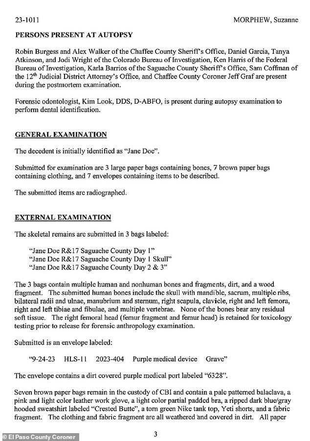 1715116112 579 Suzanne Morphews autopsy reveals bullet was discovered with skeletal remains