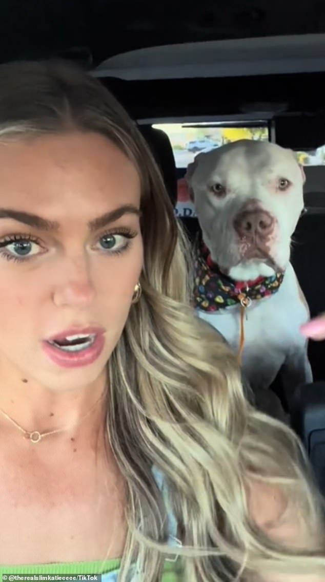 TikTok user Katie Kramer (pictured), a nurse and influencer, and her husband drove to a shelter in Phoenix, Arizona, with the intention of giving a dog a new and loving home