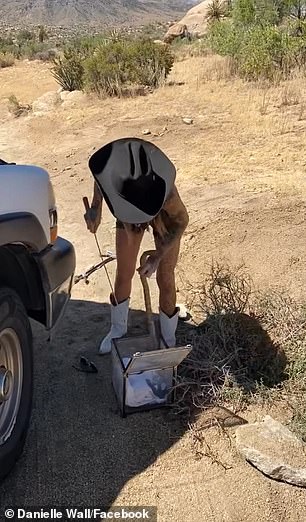 Wall's first snake move was performed using a stick and bucket