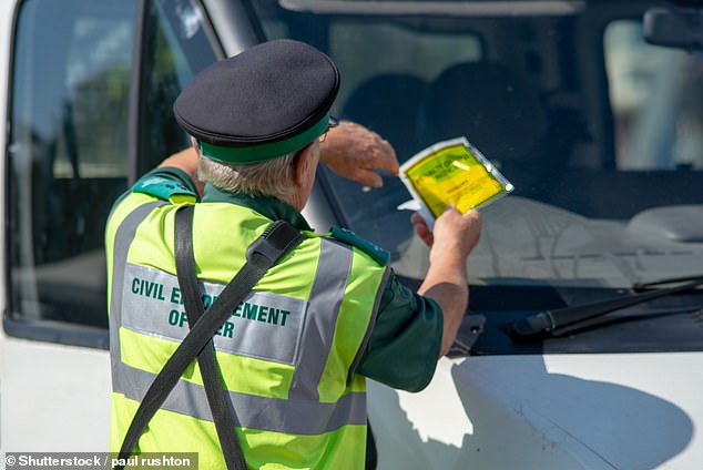 Danger: Traffic wardens have a reputation as professional day-killers, endlessly patrolling the streets looking for a vehicle on which they can issue a nasty parking fine