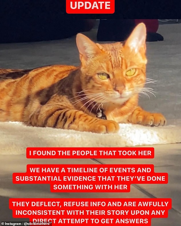 Olivia said the alleged thieves, who claimed to have 'found' the cat, have changed their story