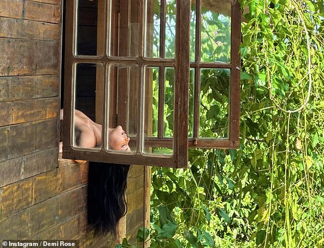 Last month, Demi shared a cute photo of herself hanging out of a window after a month off social media