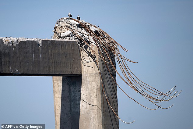 Birds rest on the remains of the Key Bridge after the freighter Dali collided and collapsed