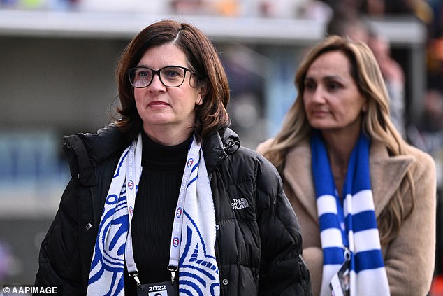 North Melbourne president Dr Sonja Hood quit X over vile trolls