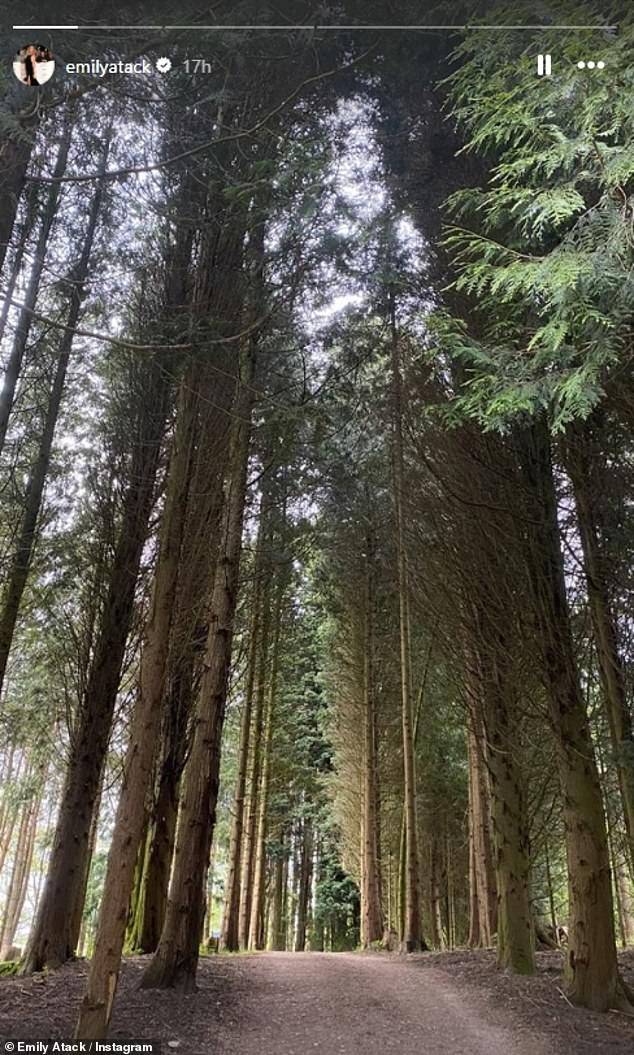 The television personality also shared a photo of her peaceful walk through a forest