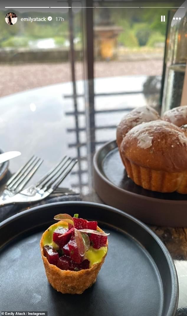 Emily enjoyed a cupcake filled with fruit during her luxurious stay