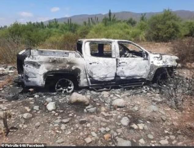 The style of the executions has raised fears locally over the possible involvement of drug cartels that are widespread in the region (photo: the trio's vehicle was later found burnt out in the Santo Tomás area)