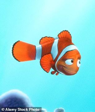 In Finding Nemo, Nemo's father, Marlin, often groans