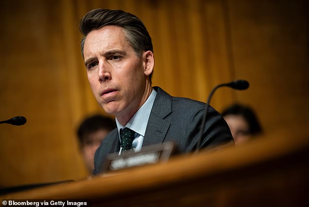 Sen. Josh Hawley, R-Mo., told DailyMail.com that the nonprofits funding pro-Palestinian protests on college campuses could be illegal