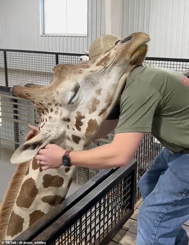 Gerry hugged Whitley out of affection after the chiropractor loosened his jaw