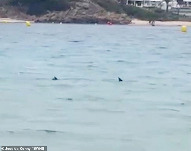 Passersby started shouting and calling for the lifeguard, who called for help and raised red flags