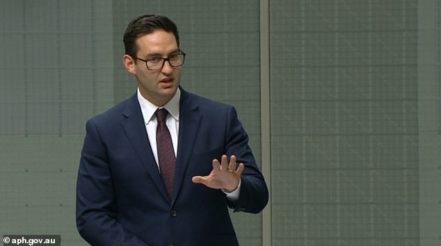 Federal Labor MP Josh Burns (pictured speaking in Parliament) criticized the government he is part of