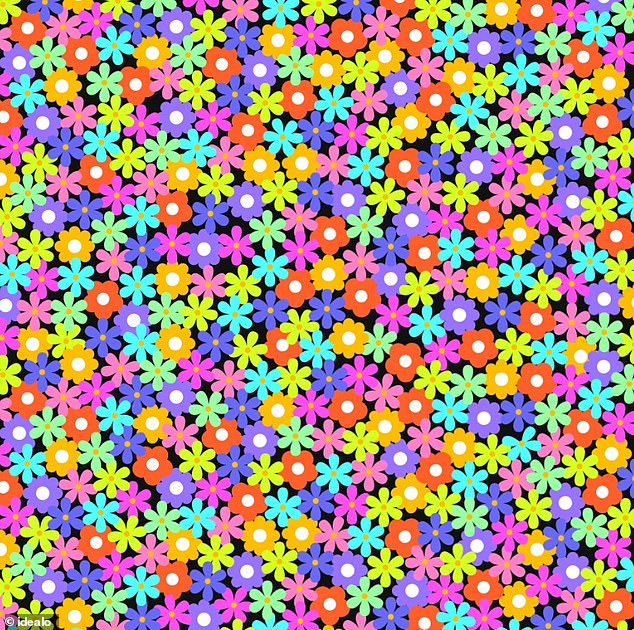 This tricky brainteaser has left many scratching their heads trying to find the missing petal in the sea of ​​vibrant, multi-colored flowers