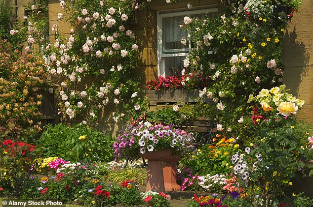 A well-maintained yard can add 20 percent to the value of your home