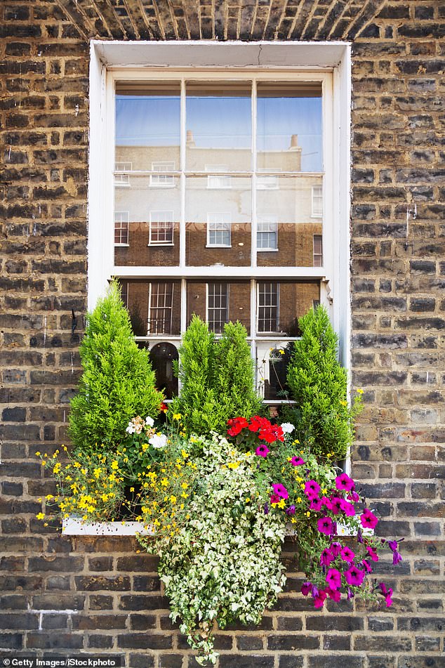 Nearly clipped evergreens add an air of formality to a home