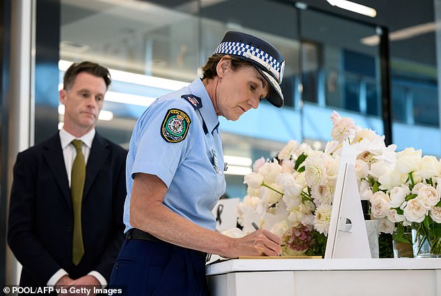 Just days after the attack, NSW Police Commissioner Karen Webb (pictured) said it was 