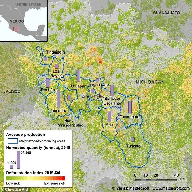 Michoacán, Mexico's top avocado growing region, faces a 59 percent reduction in potential growing area by 2050