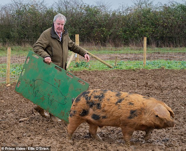 The former Top Gear presenter proves he is a hands-on owner as he herds one of his pigs through a pasture