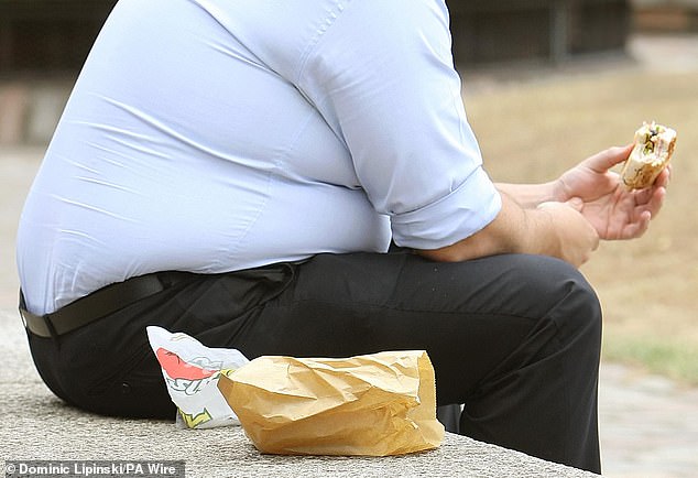 Furloughs due to obesity-related diseases are seriously hampering economic growth, a landmark study warns today (stock photo)