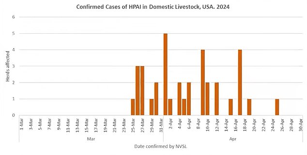 The graph above shows the dairy herds that have tested positive for bird flu over time.  Officials fear this brings the virus one step closer to infecting people