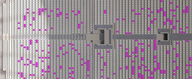 There are also multiple seats available in the club's South Stand - their noisiest stand