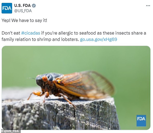 According to the U.S. Food and Drug Administration, people who are allergic to shellfish should avoid eating crickets because they have a family relationship with shrimp and lobsters