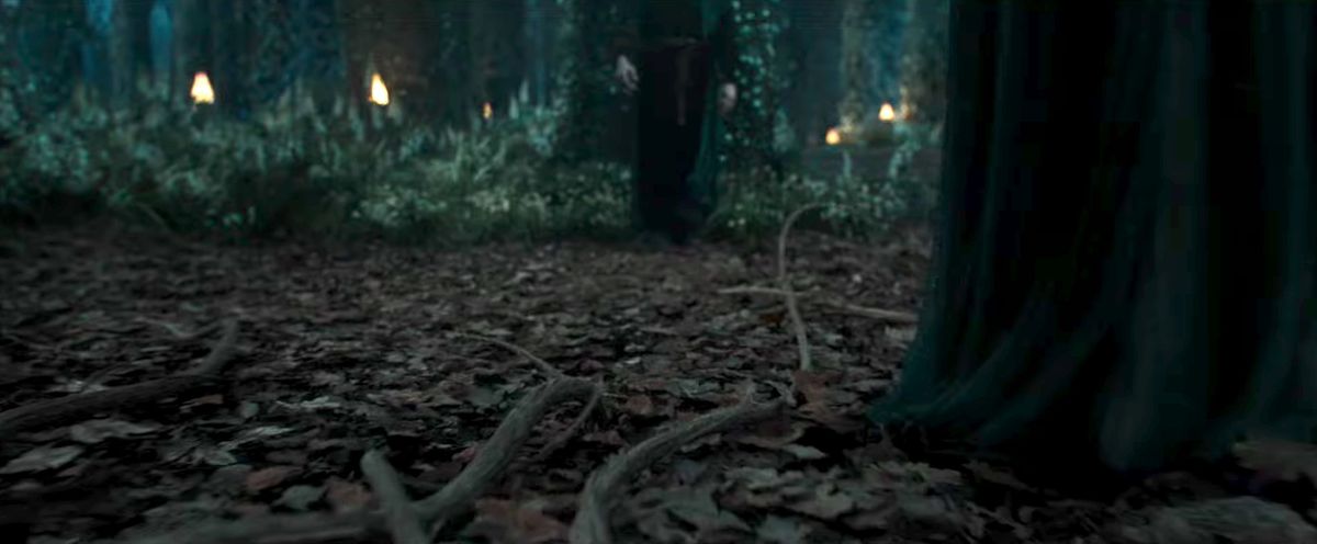 Tentacle-like roots quickly swarm across a forest floor toward a black-robed figure in The Lord of the Rings: The Rings of Power. 