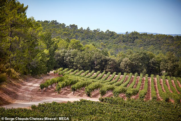 Pitt was blindsided when Jolie sold her share of Chateau Miraval, a 35-room estate with a celebrated vineyard in the south of France that Pitt and Jolie bought in 2008.  the knot in 2014