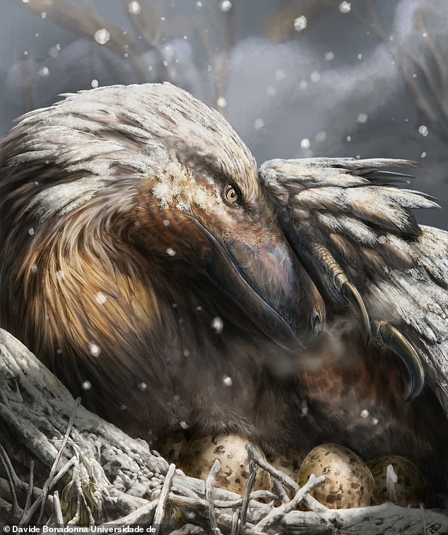 Researchers say feathered relatives of the T.Rex and Velociraptor spread to colder regions to survive a climate disaster and developed the ability to regulate their own internal temperatures.  This artist's impression shows a dromaeosaur, a type of feathered theropod, in the snow