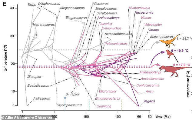 This graph shows the evolution of theropods, the ancestors of modern birds, in relation to the temperature of their habitat.  You can see how more dinosaurs adapted to living in colder (lower on the graph) climates during their evolution